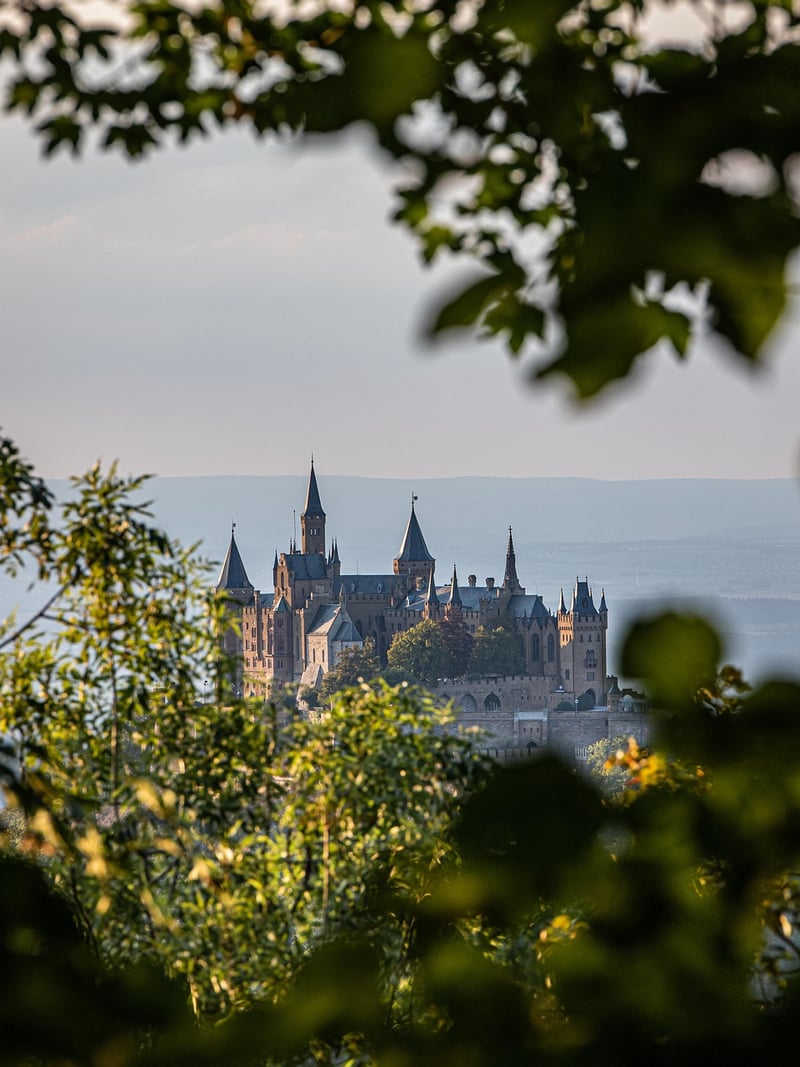 Medieval castle in the forest